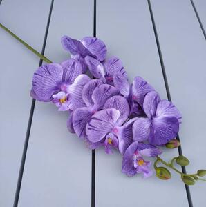 Orchidea VIP2034/8 75cm fialová