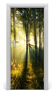 Fototapeta samolepiace na dvere les príroda 85x205 cm