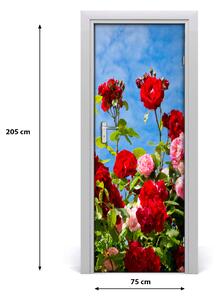 Samolepiace fototapety na dvere divoká ruža 75x205 cm