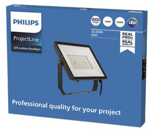 Vonkajší reflektor Philips ProjectLine LED 3 000K 100W