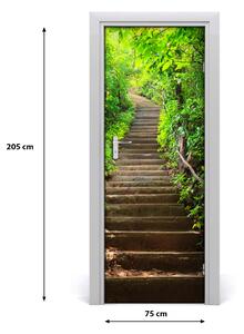 Fototapeta na dvere schody do lesa 75x205 cm