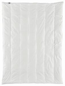 CELOROČNÁ PRIKRÝVKA, 135/200 cm, polyester Centa-Star - Prikrývky & vankúše, Online Only