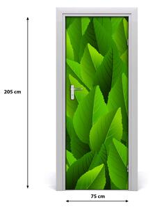 Samolepiace fototapety na dvere zelené lístie 75x205 cm