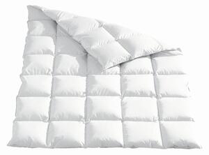 CELOROČNÁ PRIKRÝVKA, 220/240 cm, kačacie páperie, kačacie perie Sleeptex - Prikrývky & vankúše, Online Only