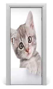Samolepiace fototapety na dvere sivá mačka 85x205 cm