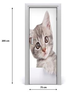 Samolepiace fototapety na dvere sivá mačka 75x205 cm