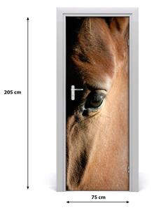 Samolepiace fototapety na dvere kôň 75x205 cm