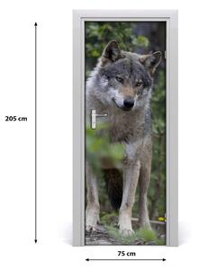 Samolepiace fototapety na dvere Vlk v lese 75x205 cm