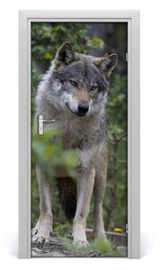 Samolepiace fototapety na dvere Vlk v lese 85x205 cm