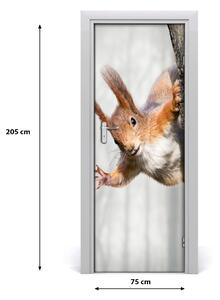 Samolepiace fototapety na dvere Veverička na strome 75x205 cm