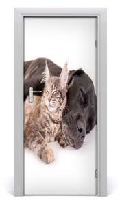 Samolepiace fototapety na dvere Pes a mačka 85x205 cm