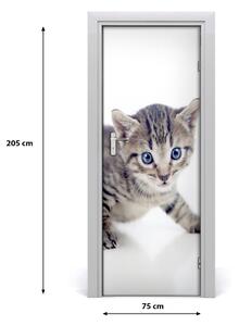Samolepiace fototapety na dvere malá mačka 75x205 cm