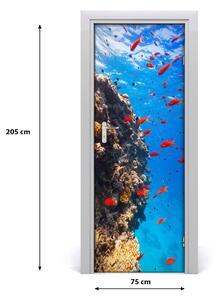Samolepiace fototapety na dvere koralový útes 75x205 cm