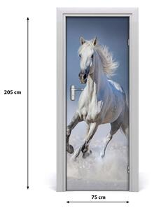 Samolepiace fototapety na dvere Kôň v cvale 75x205 cm