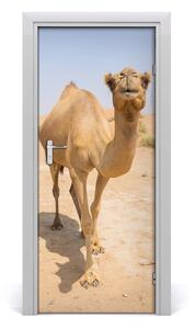 Samolepiace fototapety na dvere Velblou na púšti 85x205 cm