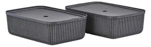 Košíky v súprave 2 ks 48x32x20.5 cm Pulp – Zone