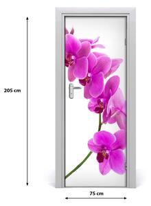 Fototapeta samolepiace ružová orchidea 75x205 cm