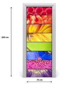 Fototapeta samolepiace farebné kvety 75x205 cm