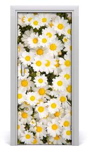 Fototapeta samolepiace kvety sedmokrásky 85x205 cm