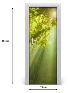Fototapeta na dvere slnka v lese 75x205 cm