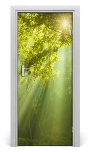 Fototapeta na dvere slnka v lese 85x205 cm