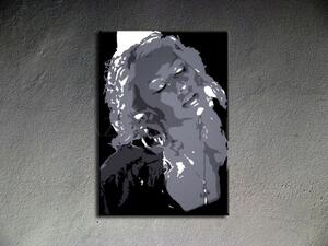 Ručne maľovaný POP Christina Aguilera (POP ART obrazy)