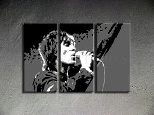 Ručne maľovaný POP Art obraz Ian Brown (POP ART obrazy)