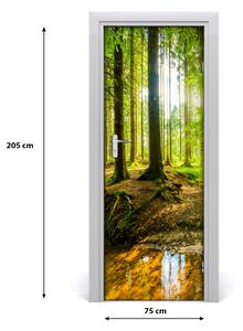 Fototapeta na dvere samolepiace slnka v lese 75x205 cm