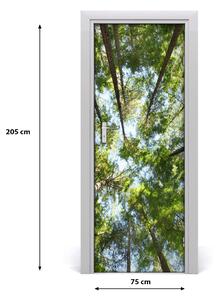 Fototapeta na dvere samolepiace koruna stromov 75x205 cm