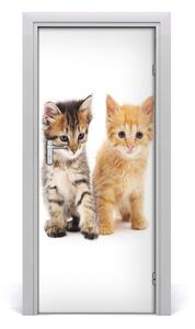 Samolepiace fototapety na dvere Sivá a červená mačka 85x205 cm