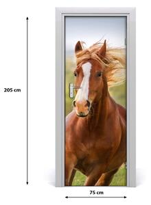 Samolepiace fototapety na dvere Kôň v cvale 75x205 cm