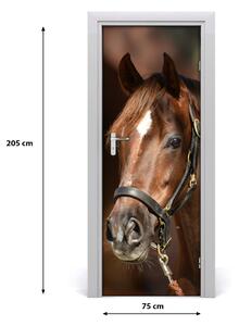 Samolepiace fototapety na dvere kôň portrét 75x205 cm