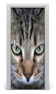 Samolepiace fototapety na dvere oči mačky 85x205 cm