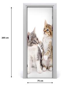 Samolepiace fototapety na dvere Dve malé mačky 75x205 cm