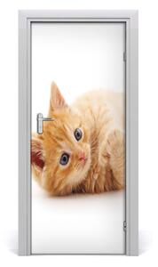 Samolepiace fototapety na dvere Malá červená mačka 85x205 cm