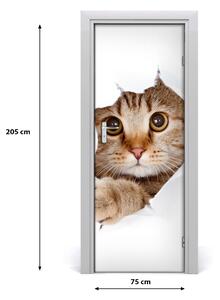 Samolepiace fototapety na dvere mačka 75x205 cm