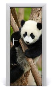 Samolepiace fototapety na dvere Panda na strome 85x205 cm