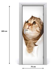 Samolepiace fototapety na dvere mačka 75x205 cm