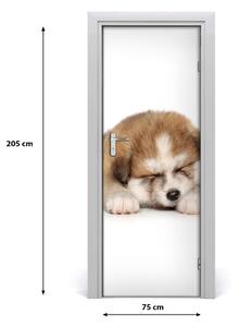 Samolepiace fototapety na dvere šteňa akity 75x205 cm