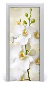 Fototapeta na dvere biela orchidea 85x205 cm