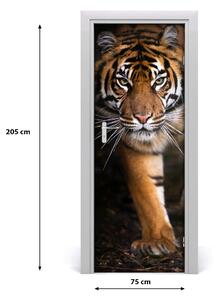 Fototapeta samolepiace na dvere tiger 75x205 cm