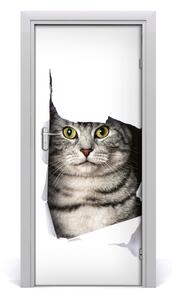 Fototapeta samolepiace na dvere mačka v diere 85x205 cm