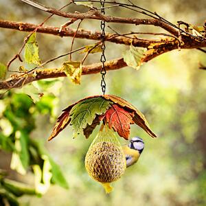 Záves na kŕmenie pre vtáky Jesenné listy