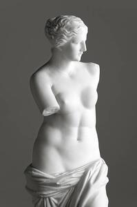Umelecká fotografie Venus de Milo on grey, 221A, (26.7 x 40 cm)