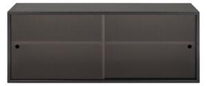NORTHERN Skrinka Hifive Glass Storage, Black Oak 100 cm / nástenné