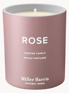 Vonná sviečka Rose (Turkish Rose Absolute, Blackcurrant, Cashmere Musk)