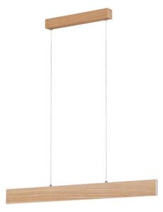 Eglo 39344 - LED závesné svietidlo na lanku CLIMENE LED/17W/230V + LED/4,2W dub