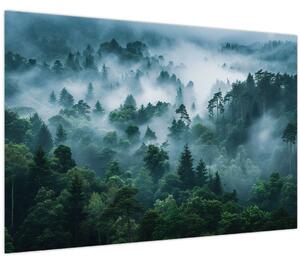 Obraz - Les v hmle (90x60 cm)