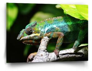 Sablio Obraz Chameleón - 60x40 cm