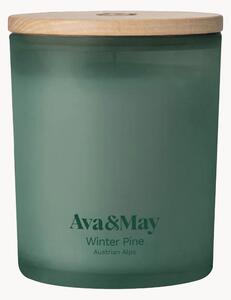 Vonná sviečka Winter Pine (Pine, Cedar Wood & Eucalyptus)